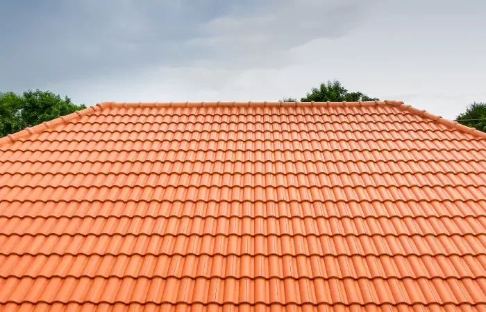 Nettoyage toiture au Cannet